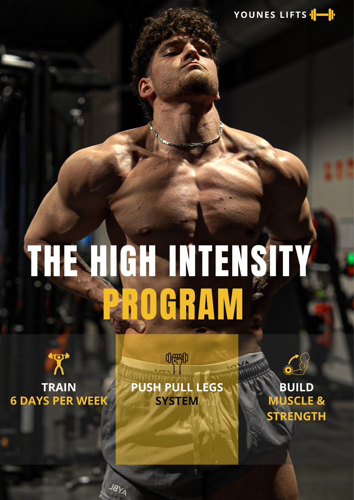THE HIGH INTENSITY PROGRAM