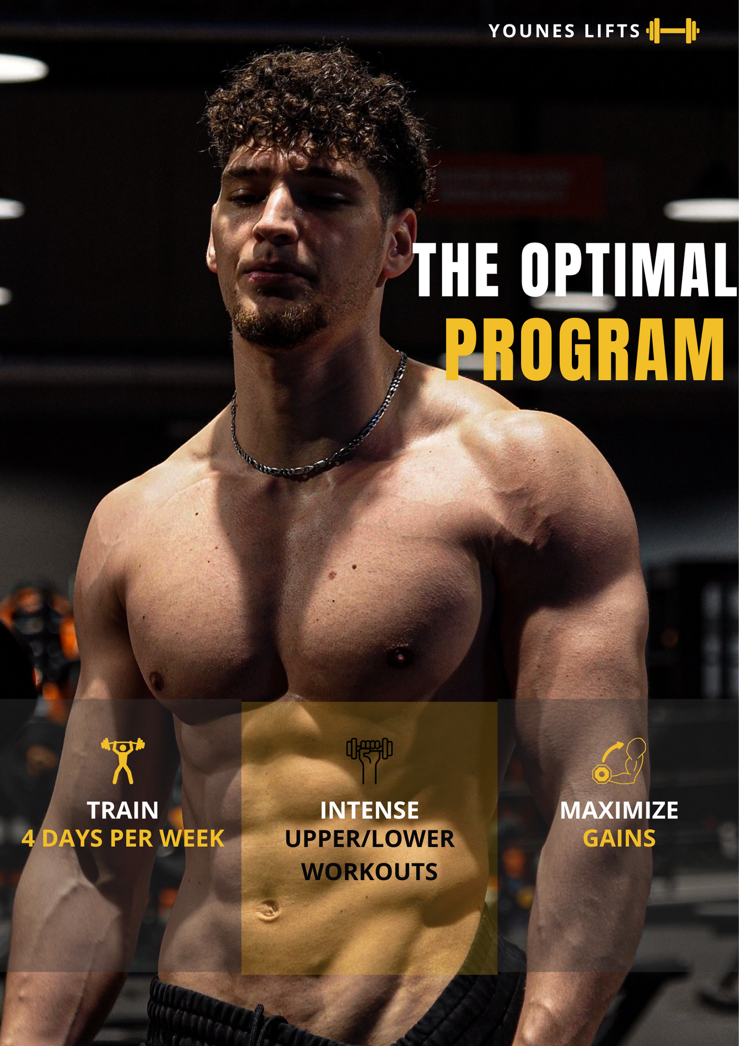 THE OPTIMAL PROGRAM